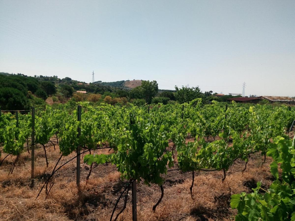 Etnasentieri Wine House On Etna Mount Belpasso Exterior foto