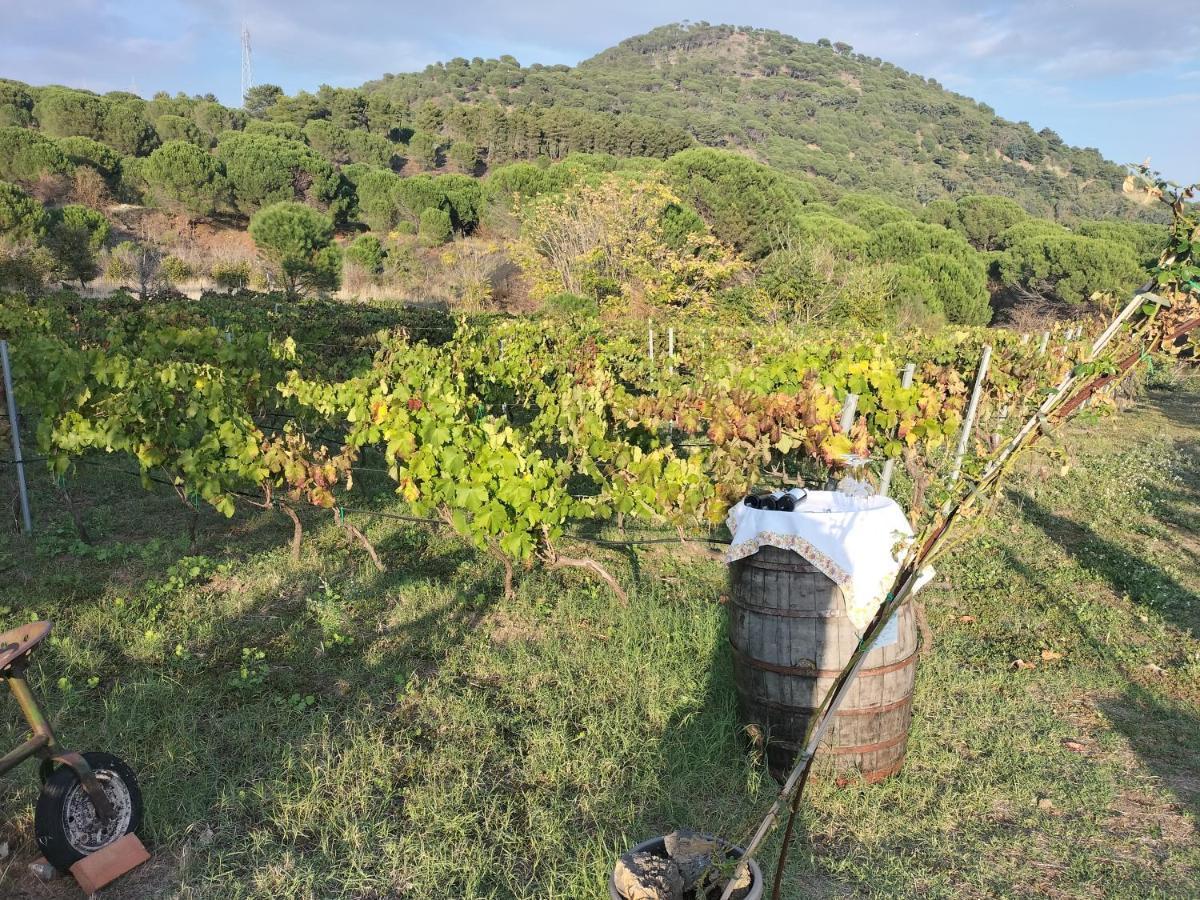 Etnasentieri Wine House On Etna Mount Belpasso Exterior foto