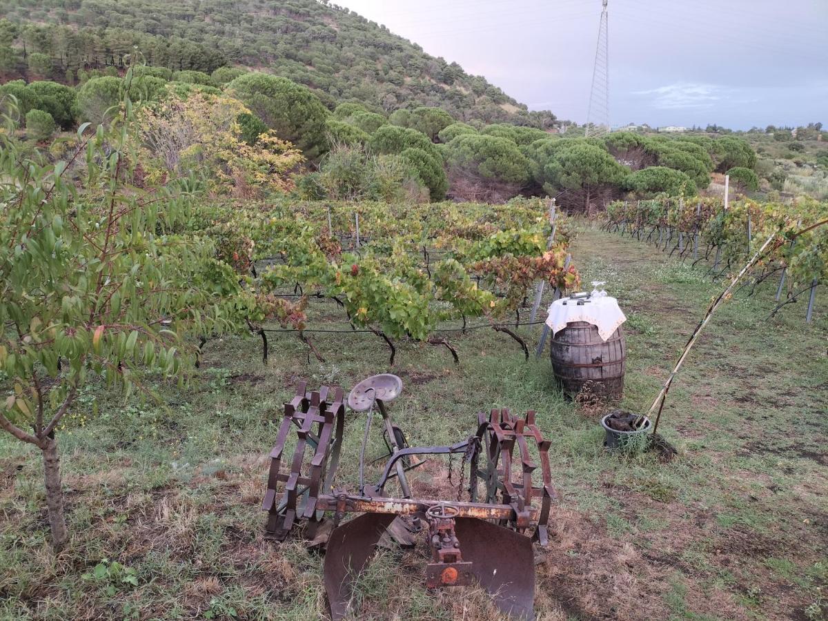 Etnasentieri Wine House On Etna Mount Belpasso Exterior foto
